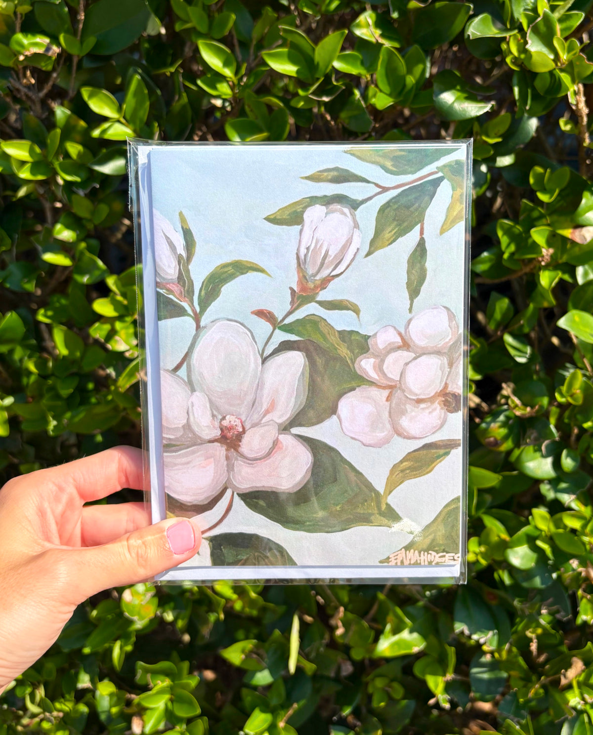 Magnolia Bloom No. 2 Greeting Cards + Envelopes (pack of 3)