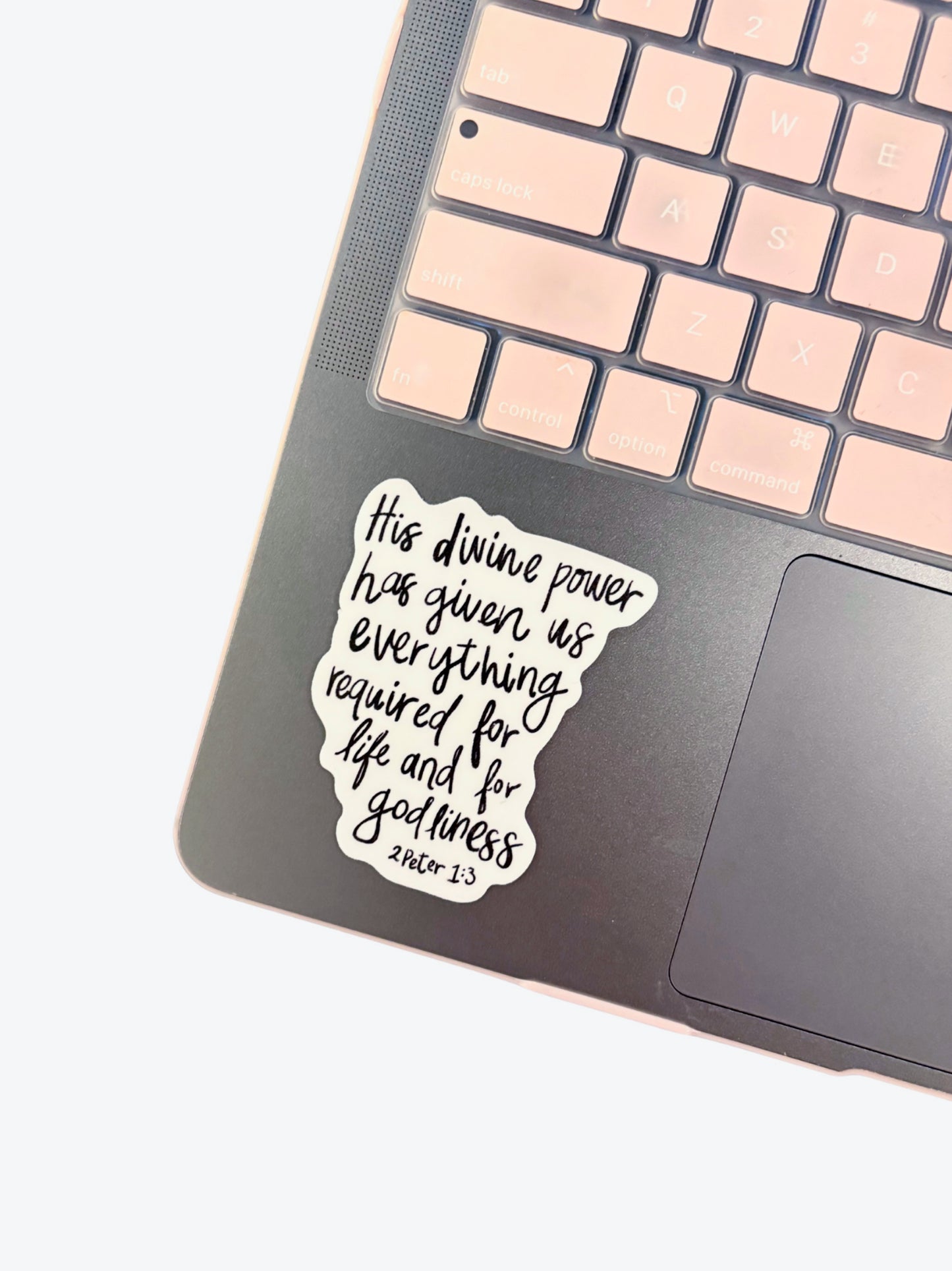 Life + Godliness Sticker