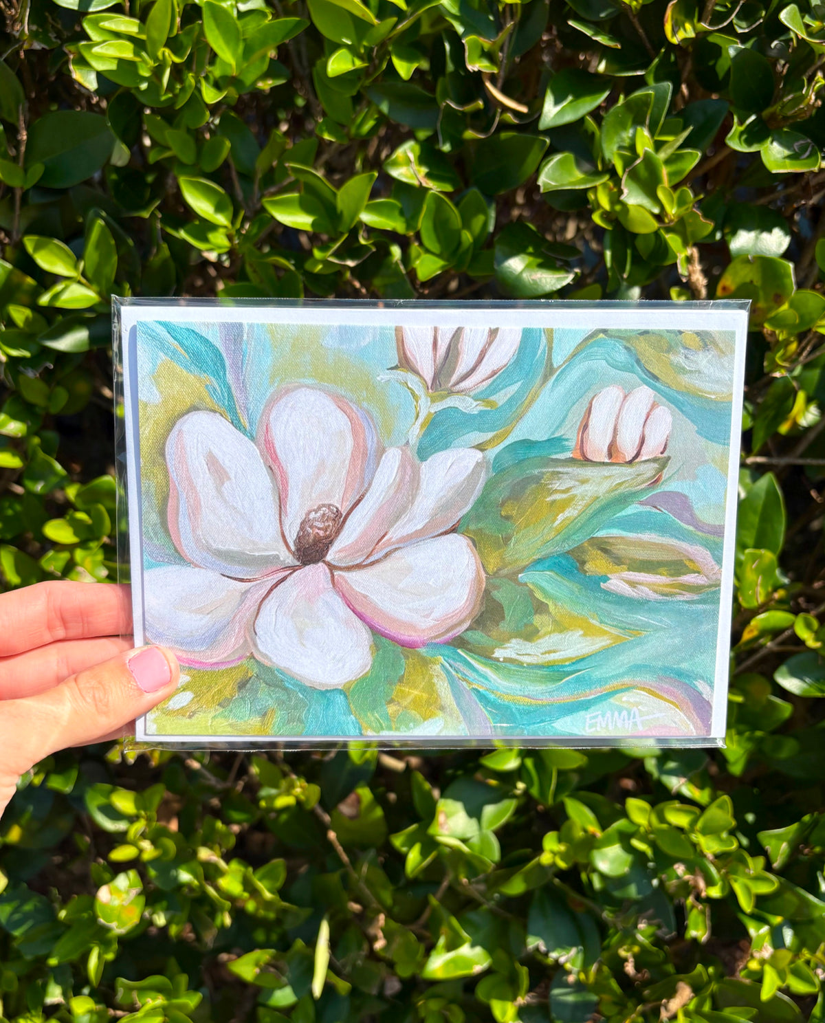 Pastel Magnolia Greeting Cards + Envelopes (pack of 3)