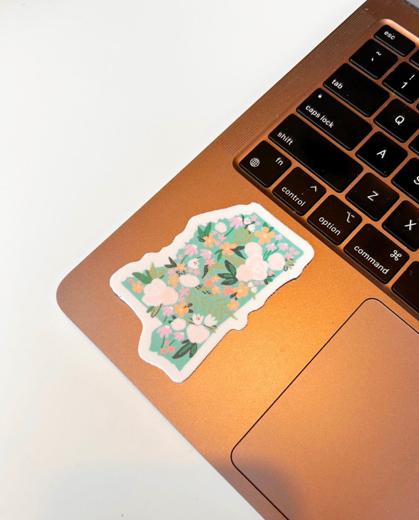 Magnolia State Sticker